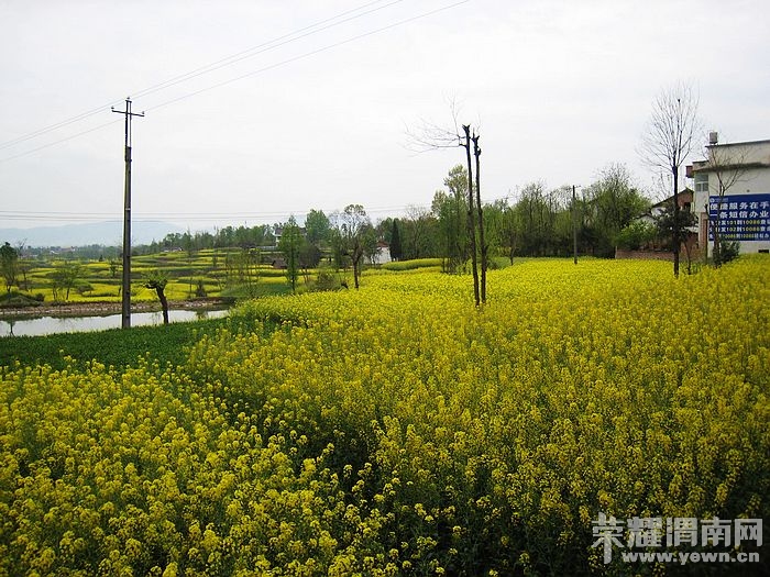 nEO_IMG_��Ƭ 454.jpg