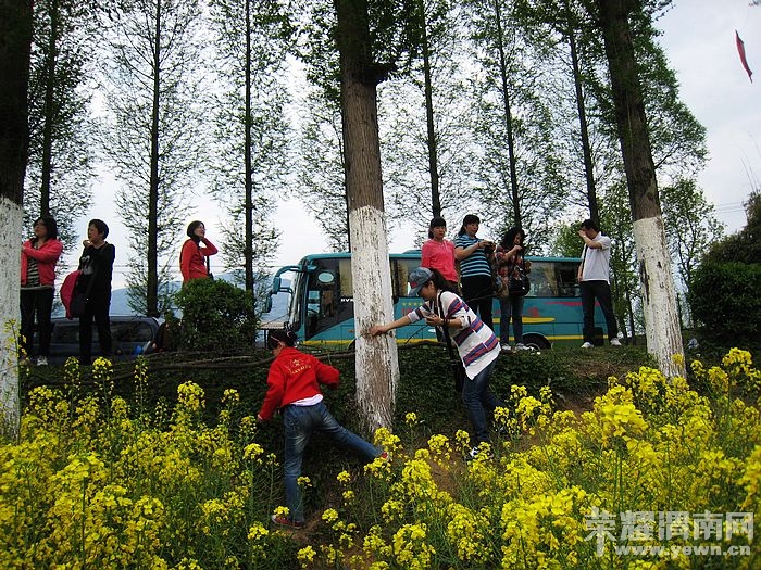 nEO_IMG_��Ƭ 455.jpg