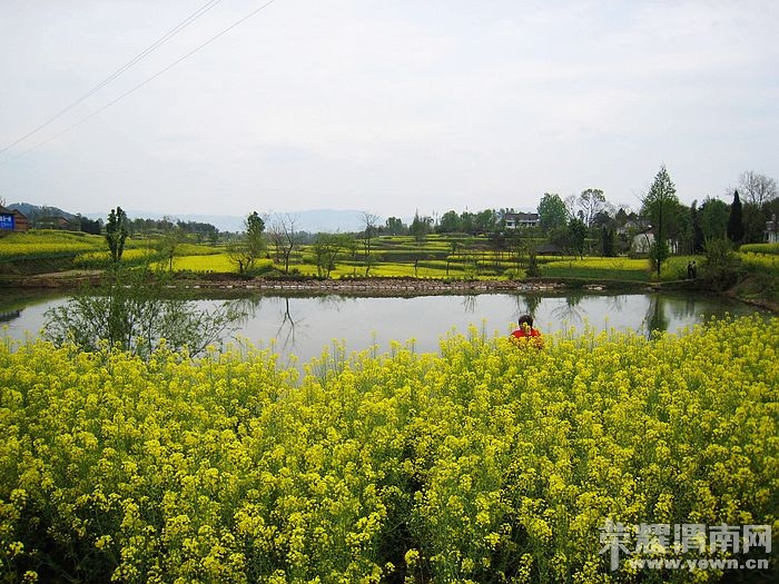 nEO_IMG_��Ƭ 456.jpg