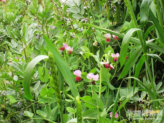 nEO_IMG_��Ƭ 458.jpg