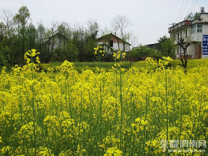 nEO_IMG_��Ƭ 464.jpg