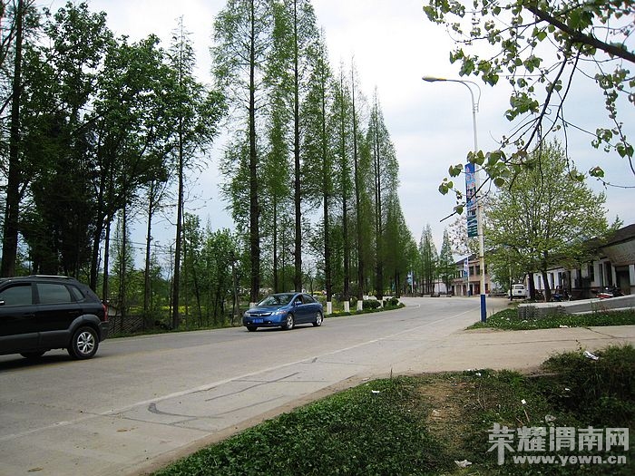 nEO_IMG_��Ƭ 466.jpg