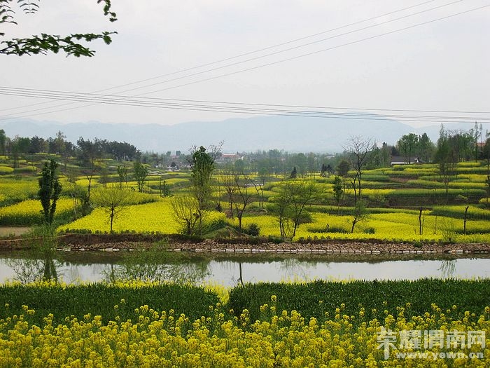 nEO_IMG_��Ƭ 470.jpg