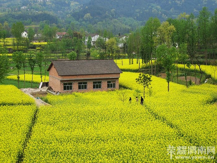 nEO_IMG_��Ƭ 484.jpg