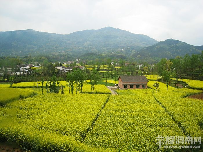 nEO_IMG_��Ƭ 477.jpg