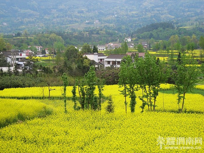 nEO_IMG_��Ƭ 481.jpg