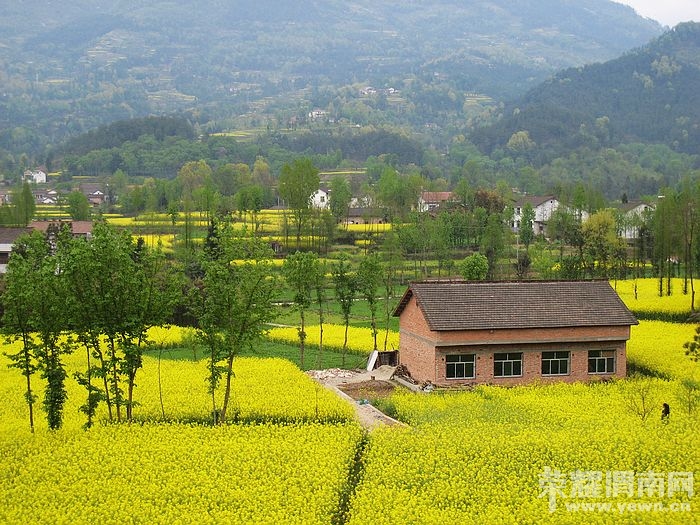 nEO_IMG_��Ƭ 482.jpg