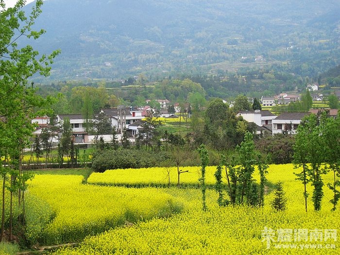 nEO_IMG_��Ƭ 483.jpg