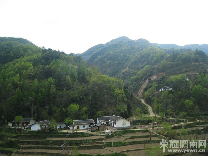 nEO_IMG_��Ƭ 498.jpg