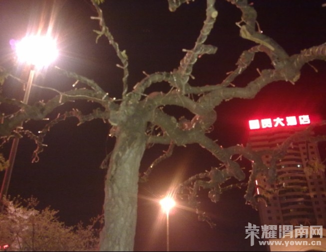 ��¥�ϵ������ֺͱ��޺�Ⱦ�����С��