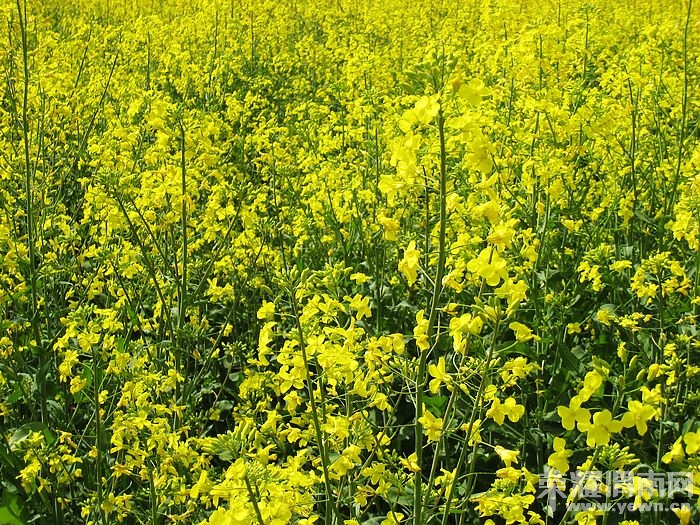 nEO_IMG_��Ƭ 180.jpg