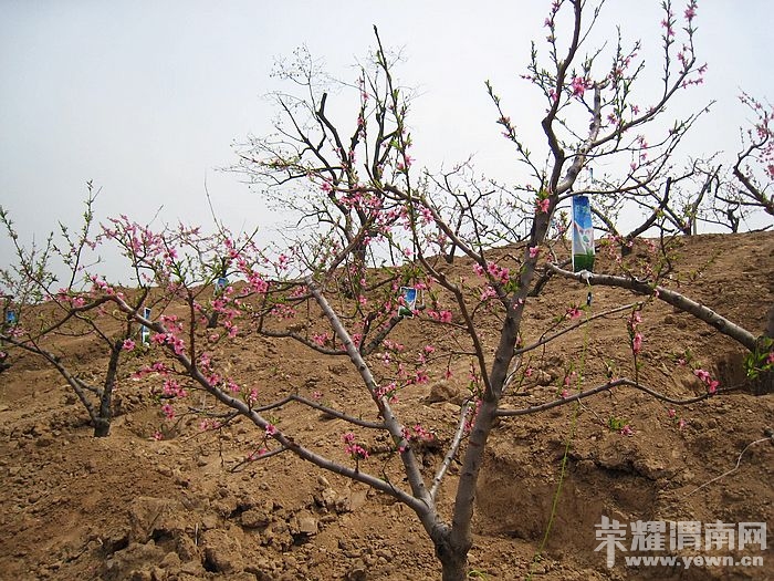 nEO_IMG_��Ƭ 091.jpg