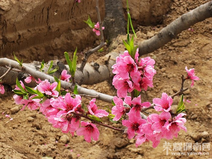 nEO_IMG_��Ƭ 092.jpg