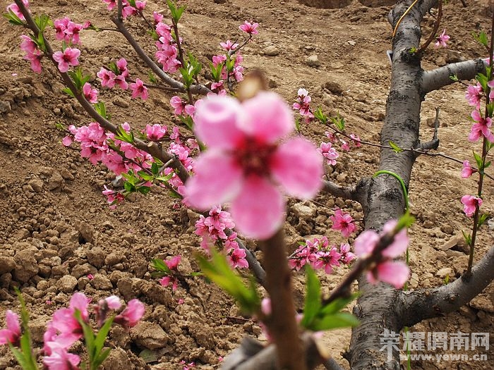 nEO_IMG_��Ƭ 093.jpg