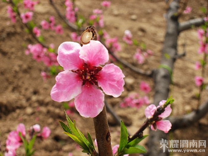 nEO_IMG_��Ƭ 094.jpg