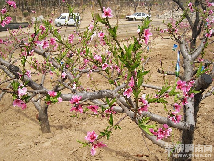 nEO_IMG_��Ƭ 095.jpg