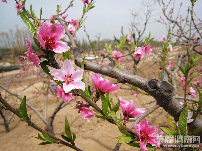 nEO_IMG_��Ƭ 098.jpg