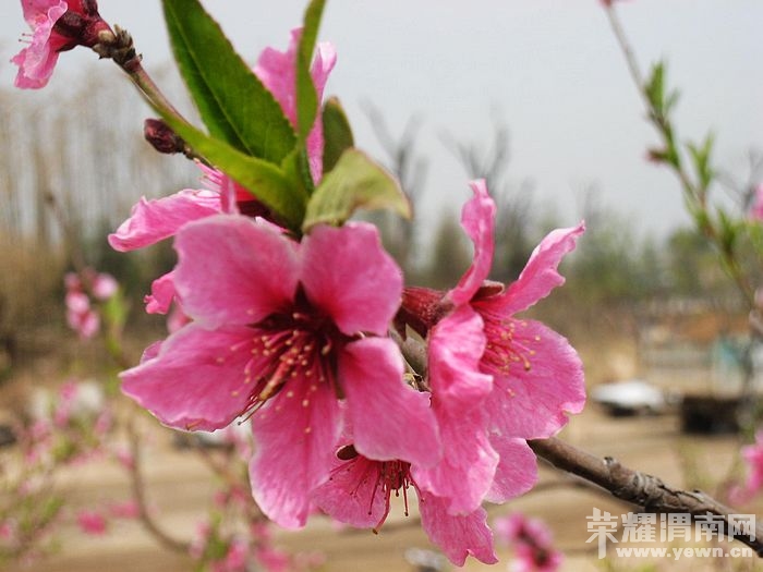 nEO_IMG_��Ƭ 100.jpg