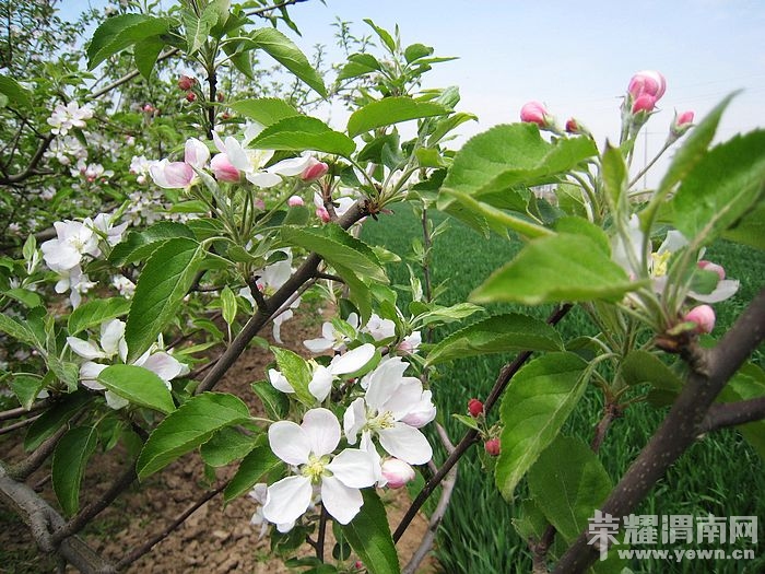 nEO_IMG_��Ƭ 129.jpg