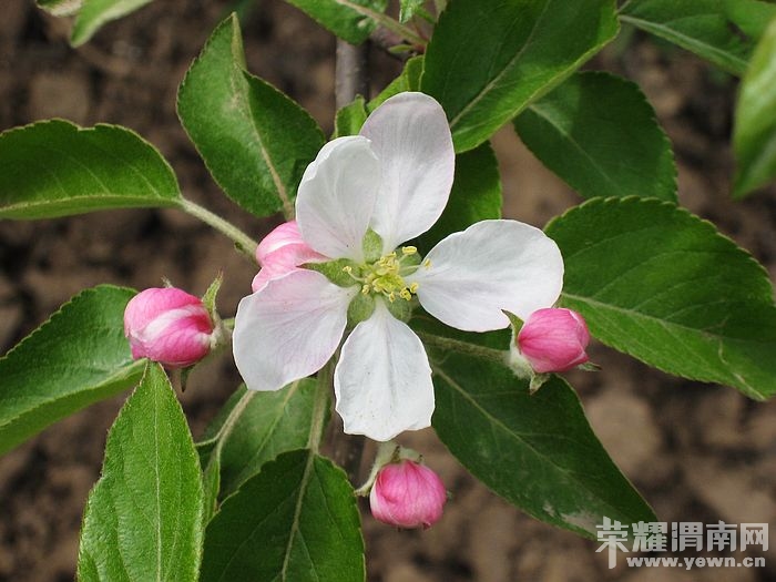 nEO_IMG_��Ƭ 130.jpg