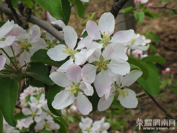 nEO_IMG_��Ƭ 132.jpg