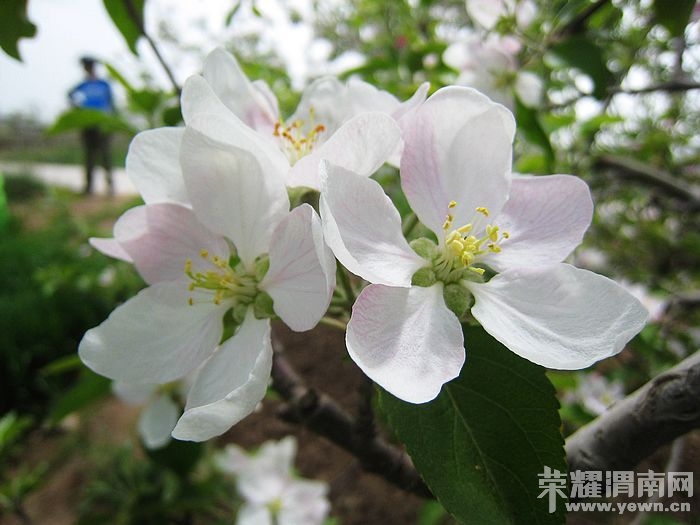 nEO_IMG_��Ƭ 136.jpg