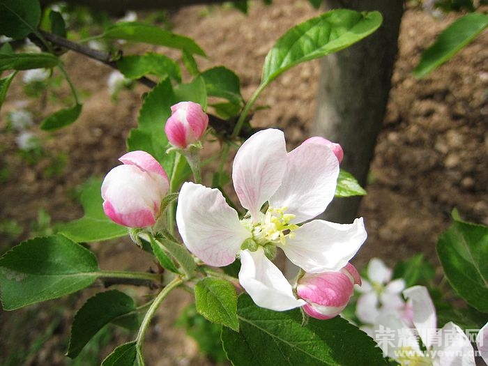 nEO_IMG_��Ƭ 137.jpg