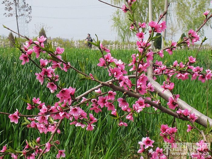 nEO_IMG_��Ƭ 148.jpg