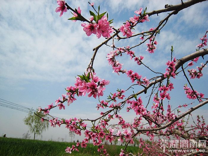 nEO_IMG_��Ƭ 150.jpg