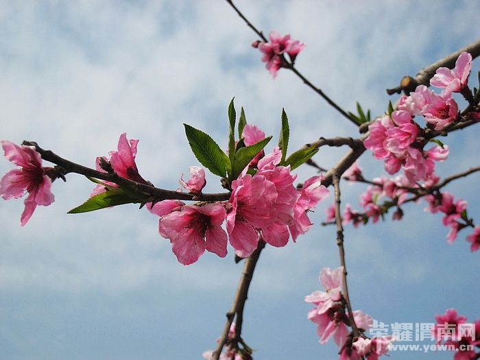 nEO_IMG_��Ƭ 151.jpg