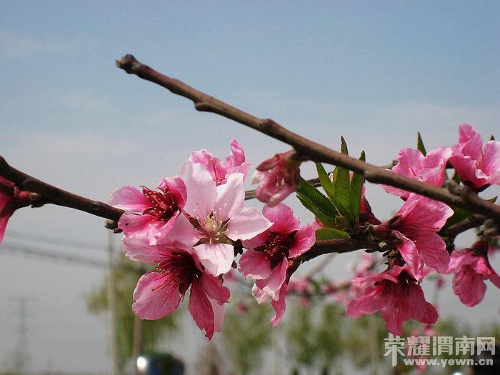 nEO_IMG_��Ƭ 152.jpg