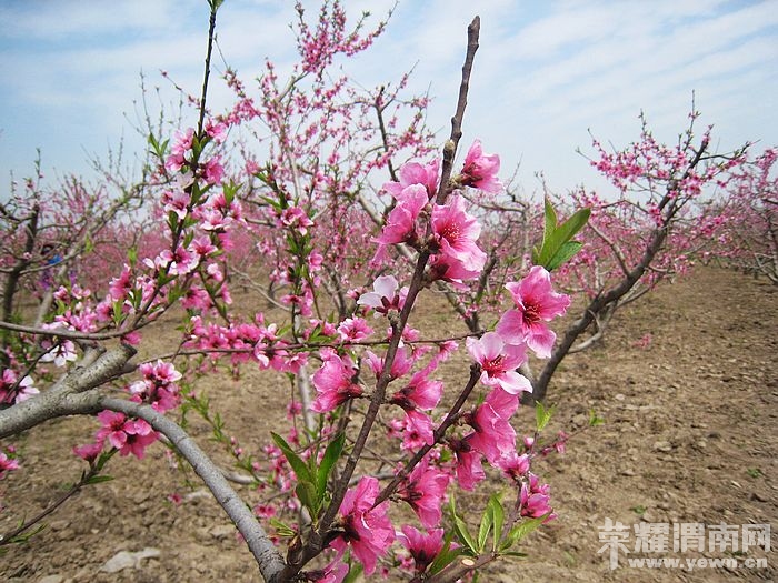 nEO_IMG_��Ƭ 153.jpg