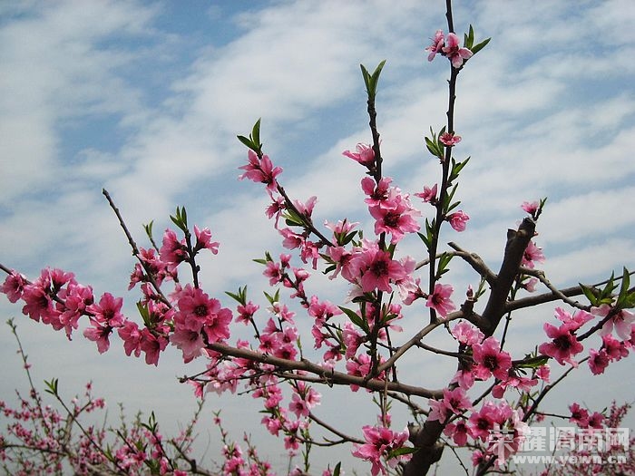 nEO_IMG_��Ƭ 154.jpg