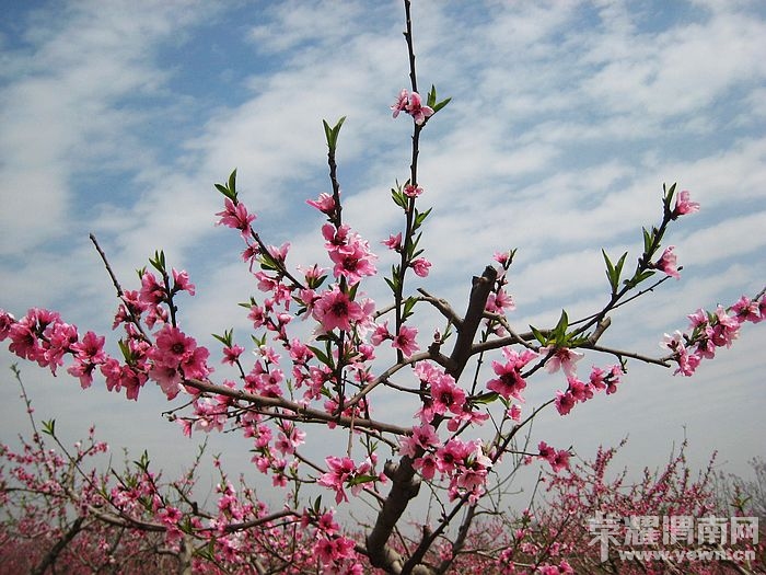 nEO_IMG_��Ƭ 155.jpg