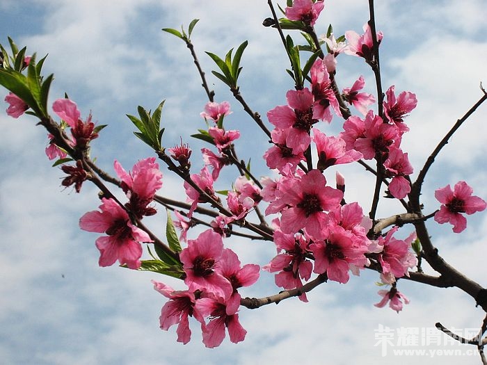 nEO_IMG_��Ƭ 157.jpg