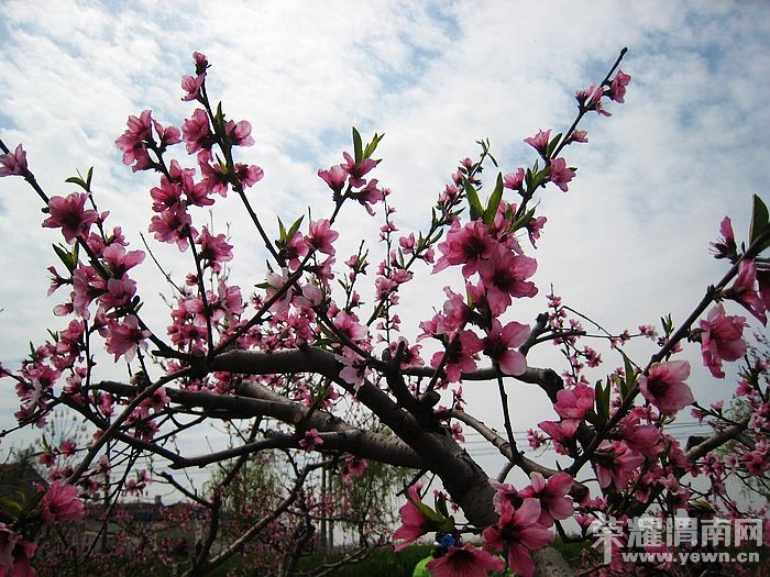 nEO_IMG_��Ƭ 160.jpg