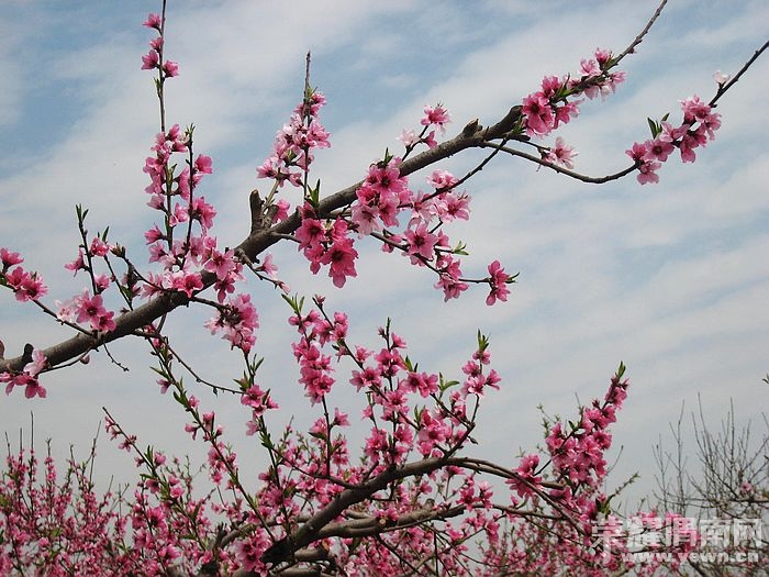 nEO_IMG_��Ƭ 163.jpg