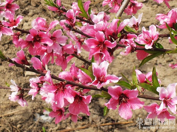 nEO_IMG_��Ƭ 164.jpg