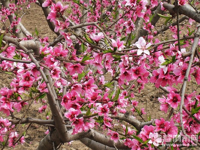 nEO_IMG_��Ƭ 167.jpg