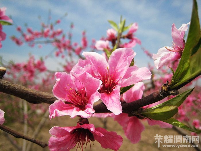 nEO_IMG_��Ƭ 172.jpg