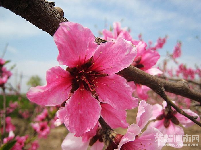 nEO_IMG_��Ƭ 173.jpg