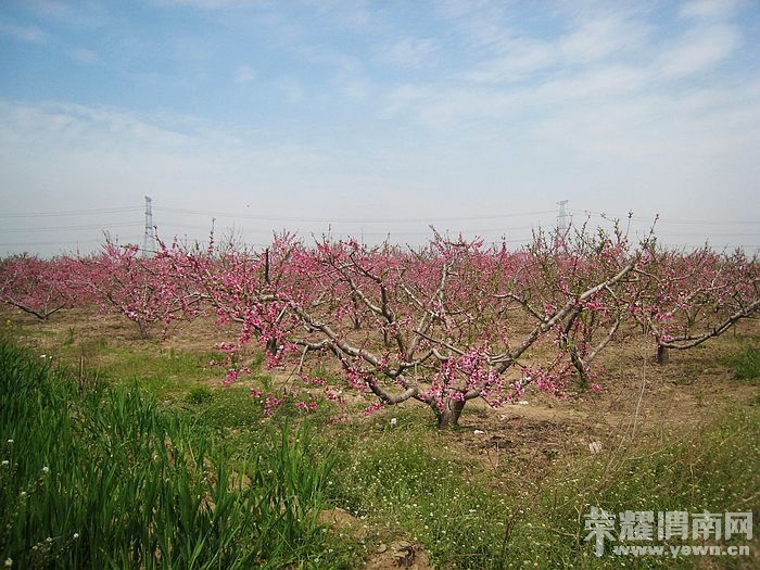 nEO_IMG_��Ƭ 176.jpg