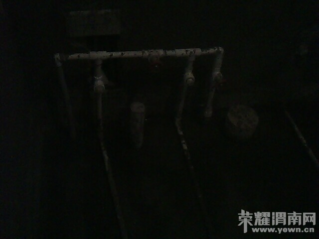 IMG0351A.jpg