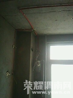 IMG0348A.jpg