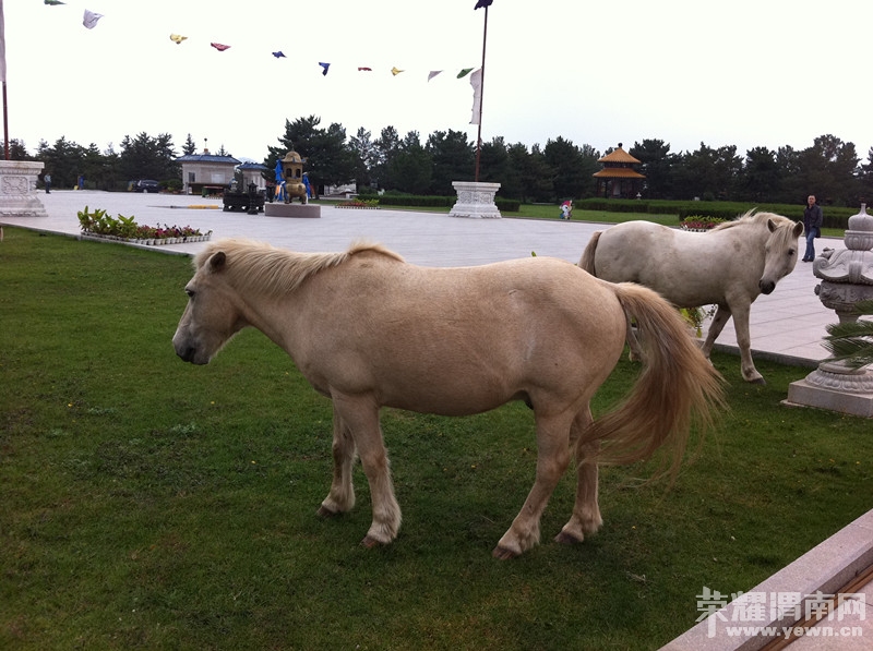 ����Ǵ�˵����������׼˨����׼�򣬲�׼���Ϊ���ǳɼ�˼����ս��ת��