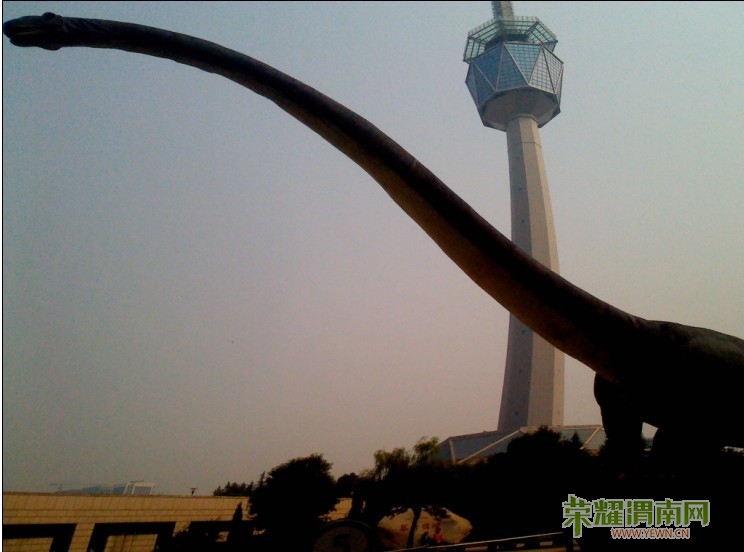 二手房过户个人所得税缴纳问题(转)