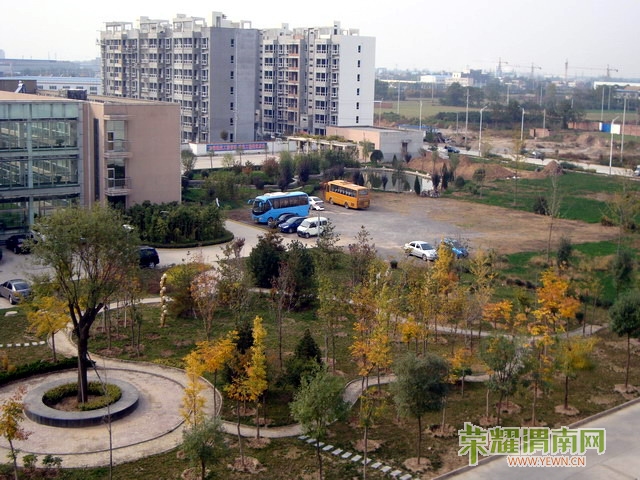 ���׵�����