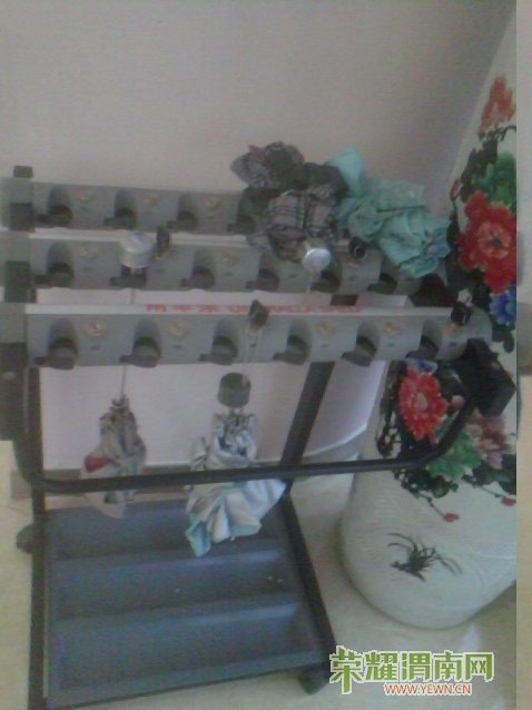 ���ű���ȱ�İ���ɡ��