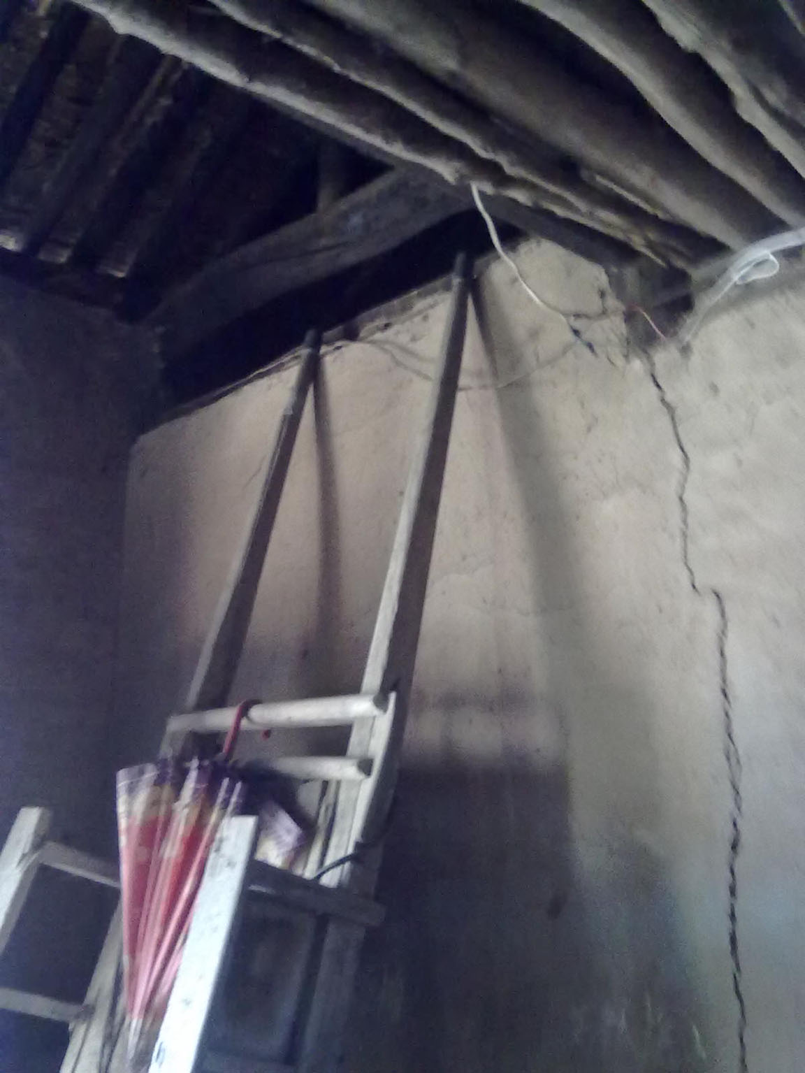 ������ݶ���