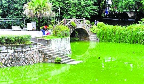 ���ӽ�Ů�����º� ��ͷ��ˮ���ʡ���������